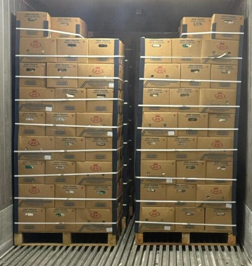 Pallets de yuca congelada lista para exportación