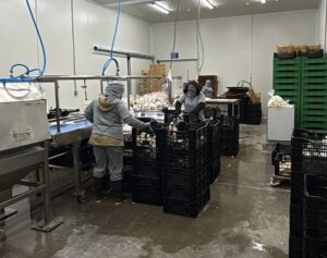 Área de proceso de yuca