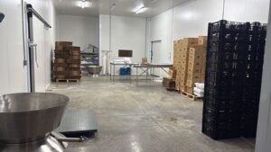 Sala de proceso en frío